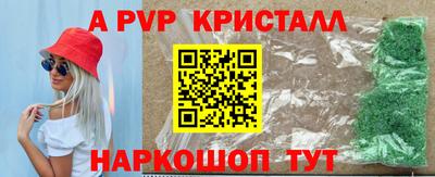 mdpv Кингисепп